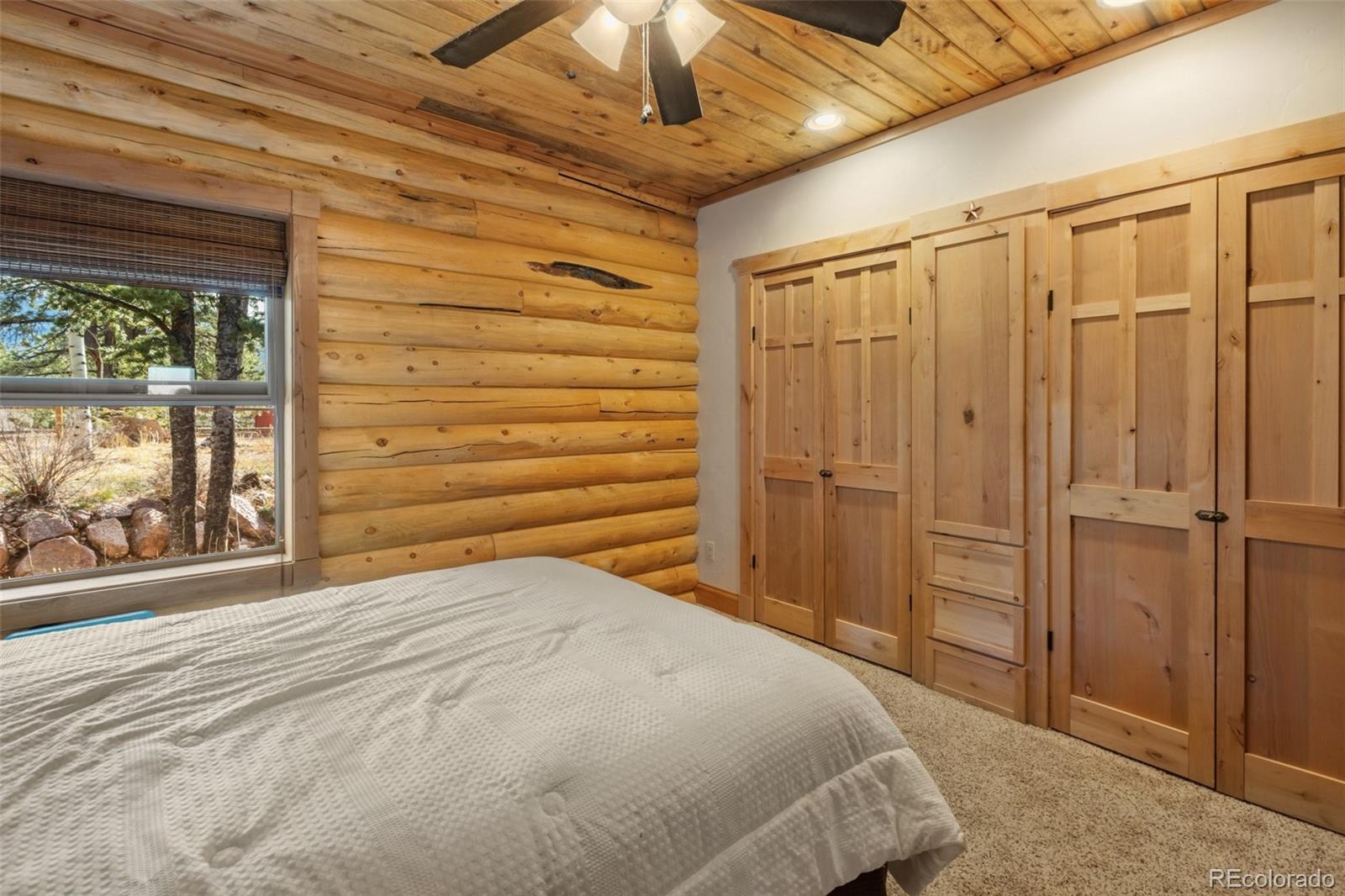 MLS Image #29 for 111  blue spruce road,divide, Colorado