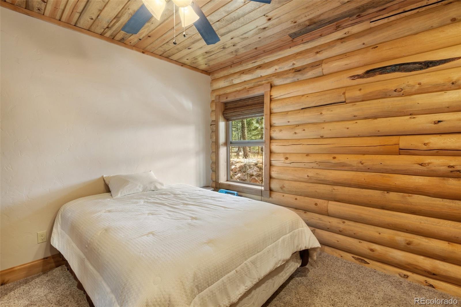 MLS Image #30 for 111  blue spruce road,divide, Colorado