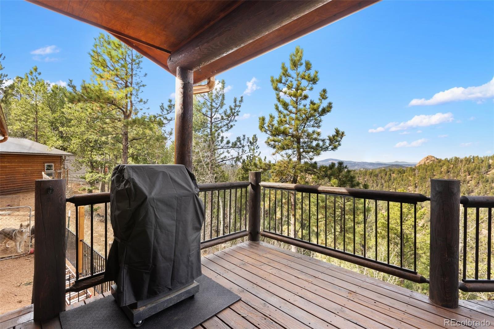 MLS Image #36 for 111  blue spruce road,divide, Colorado