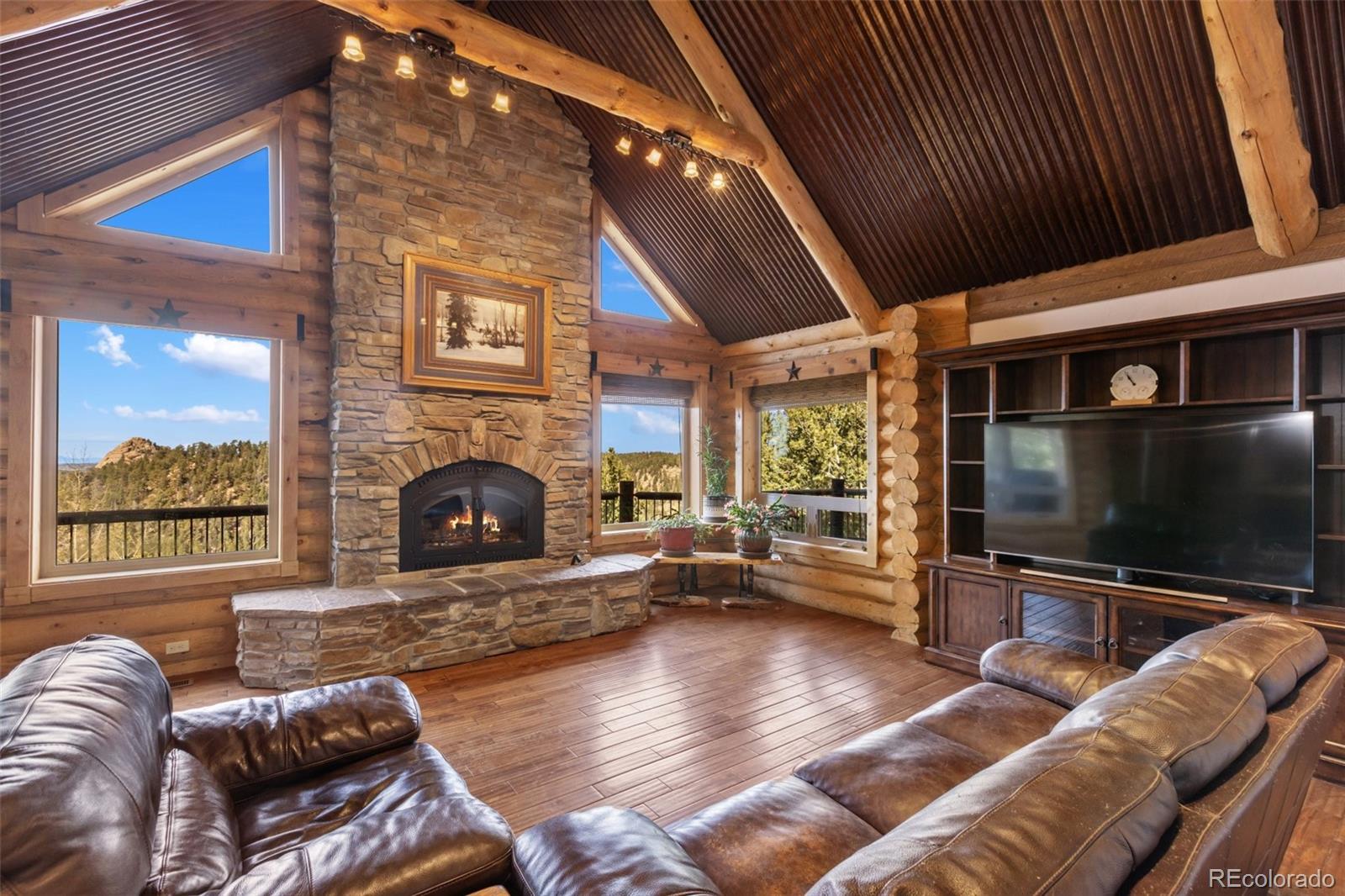 MLS Image #9 for 111  blue spruce road,divide, Colorado