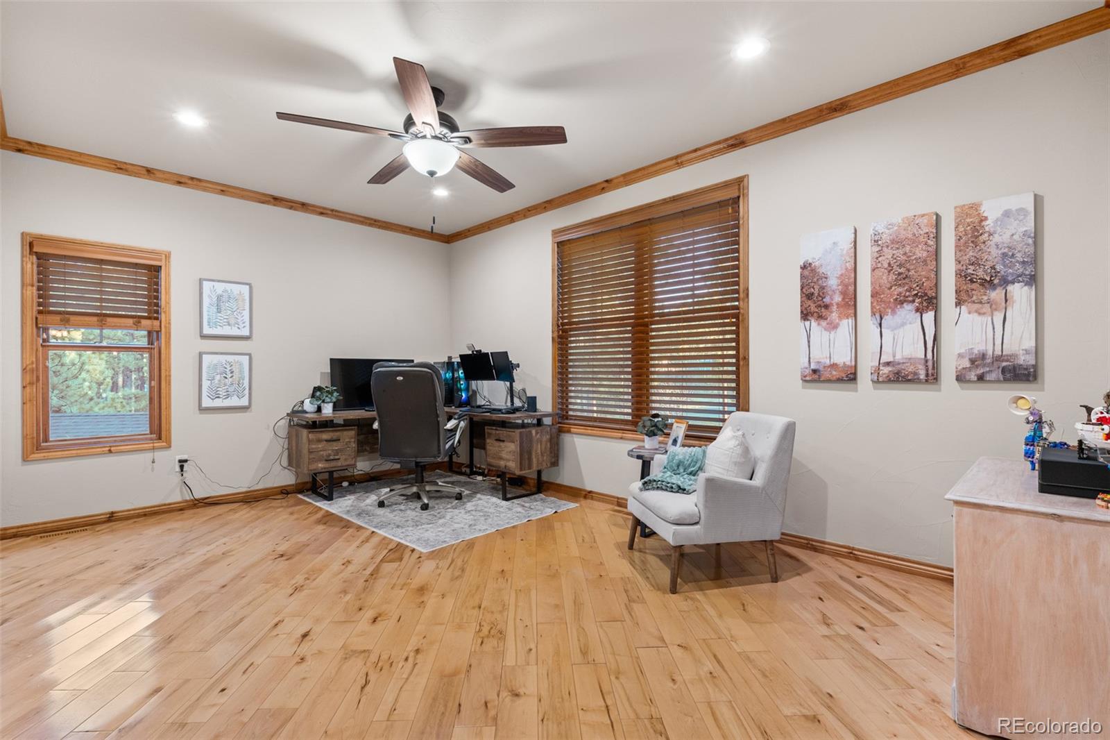 MLS Image #25 for 1485  gore circle,larkspur, Colorado