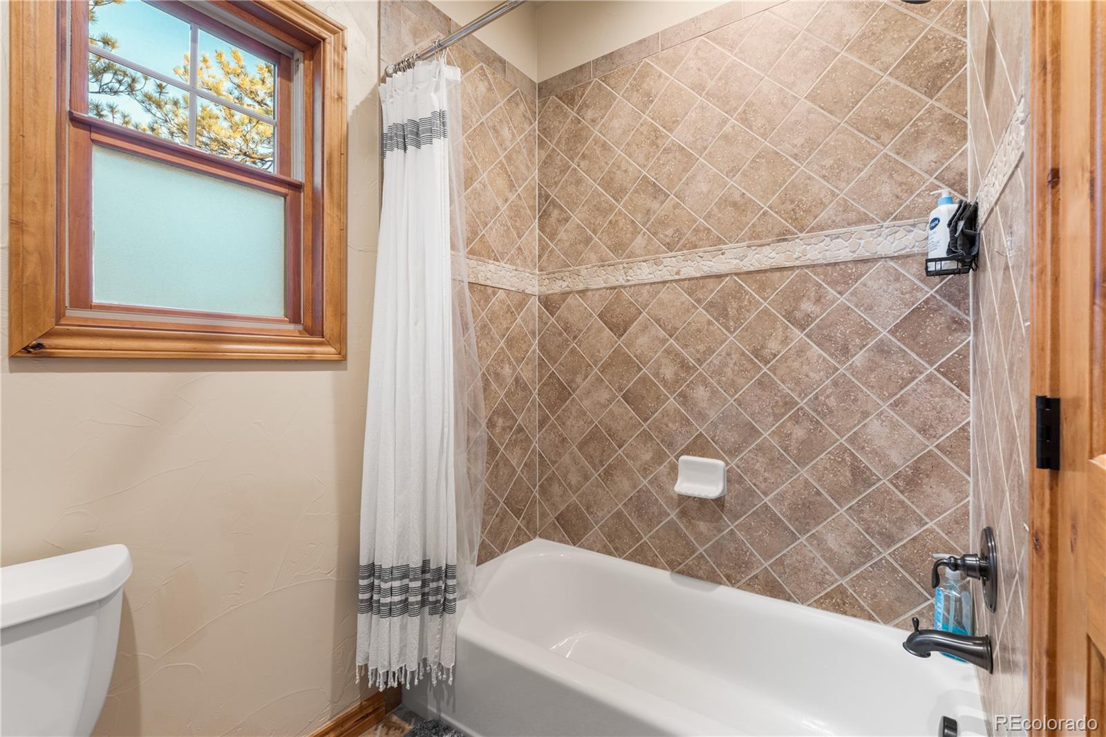 MLS Image #26 for 1485  gore circle,larkspur, Colorado
