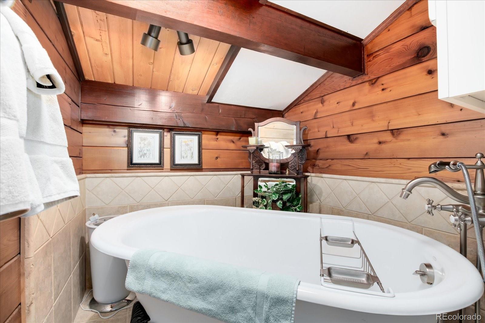 MLS Image #28 for 522  wellington road,breckenridge, Colorado