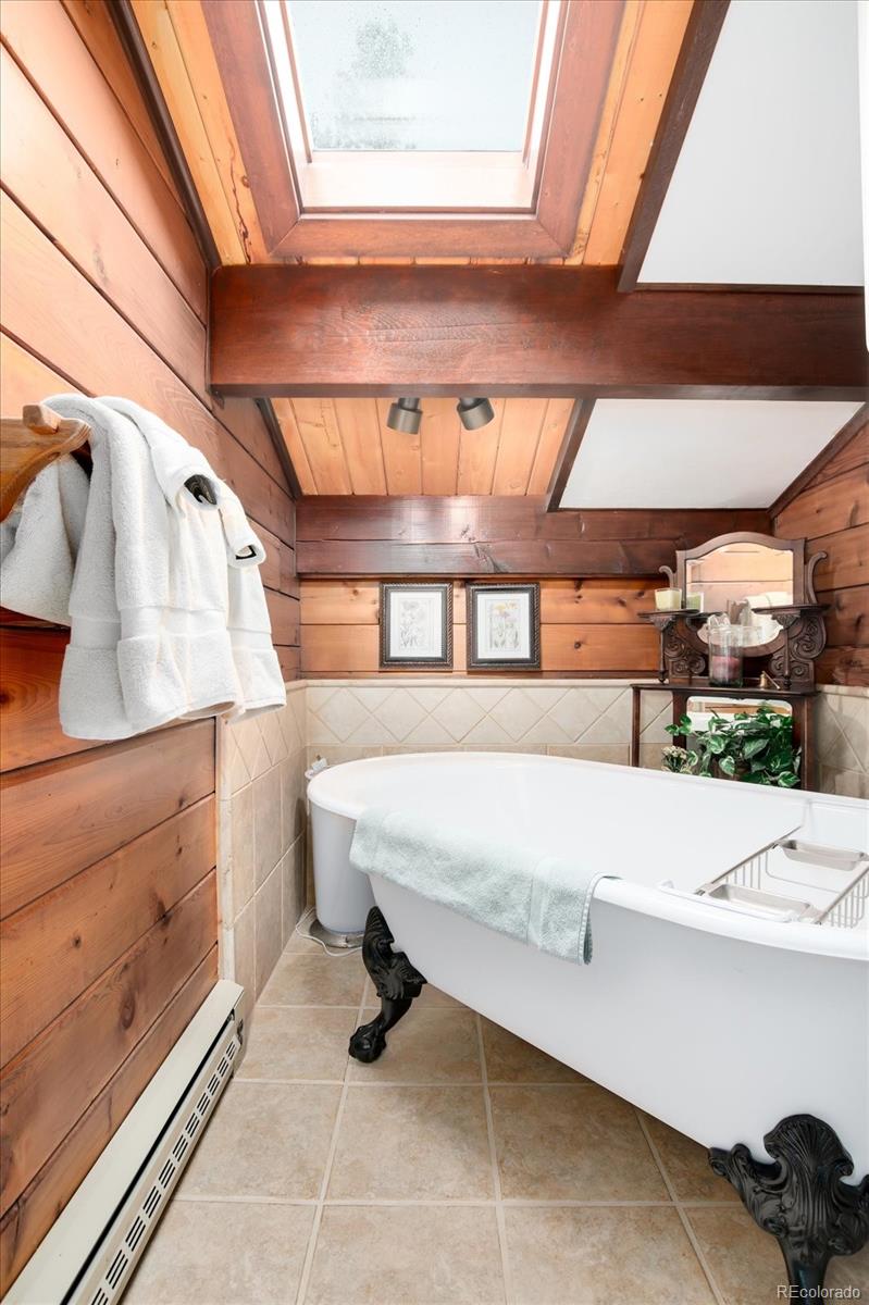 MLS Image #29 for 522  wellington road,breckenridge, Colorado