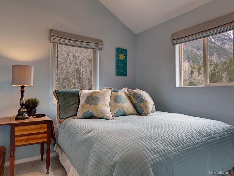 MLS Image #12 for 18957  county road 162 ,nathrop, Colorado