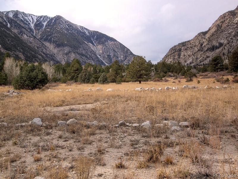 MLS Image #28 for 18957  county road 162 ,nathrop, Colorado