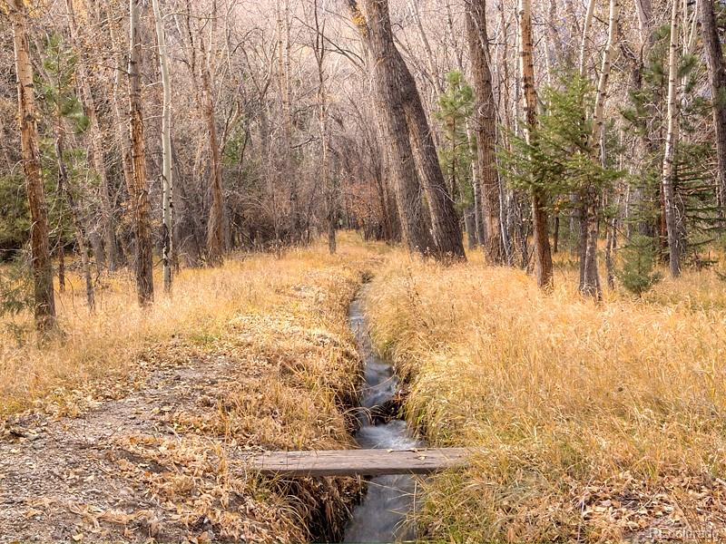 MLS Image #30 for 18957  county road 162 ,nathrop, Colorado