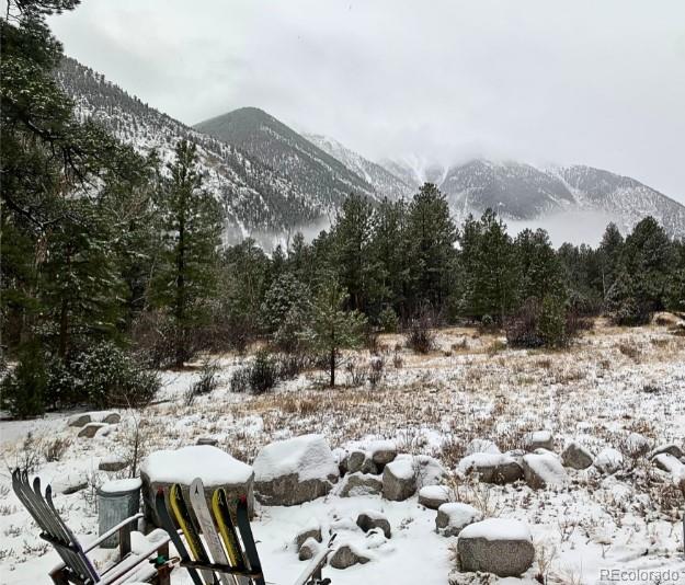 MLS Image #34 for 18957  county road 162 ,nathrop, Colorado
