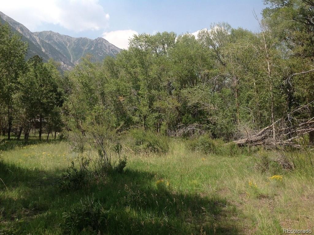 MLS Image #37 for 18957  county road 162 ,nathrop, Colorado