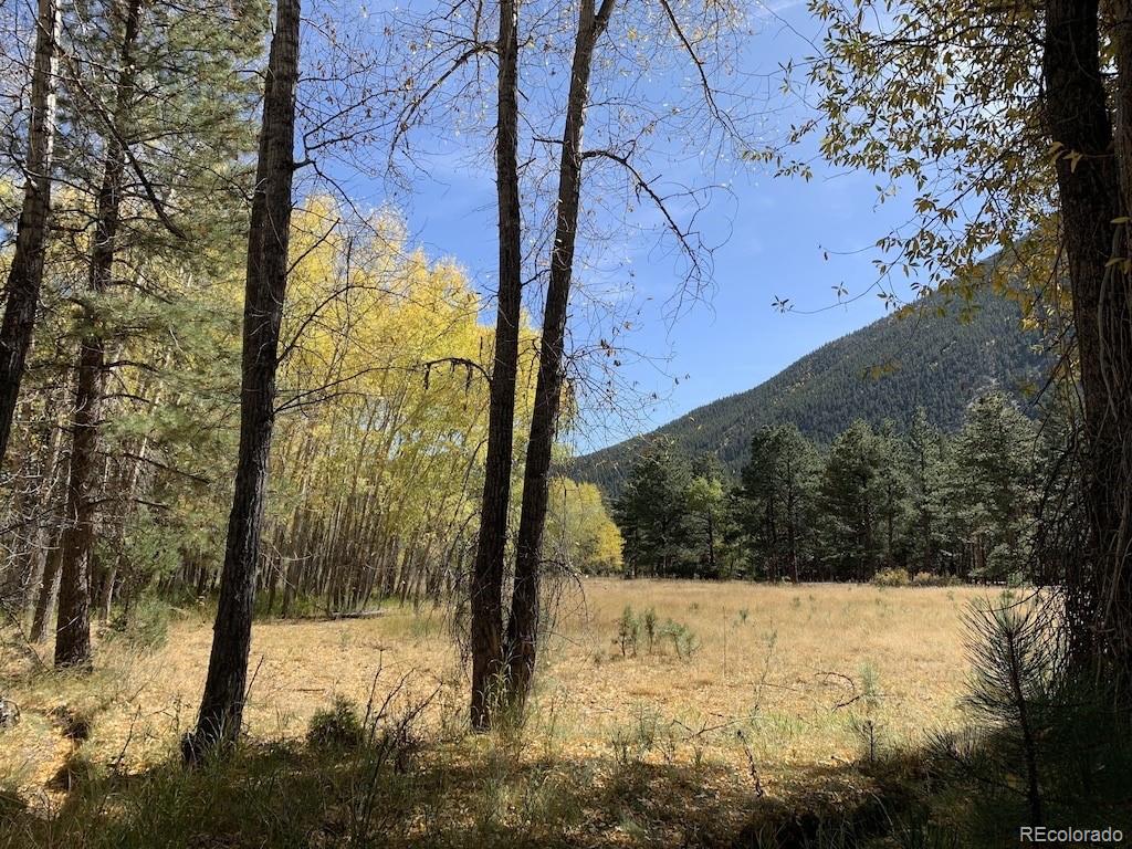 MLS Image #39 for 18957  county road 162 ,nathrop, Colorado