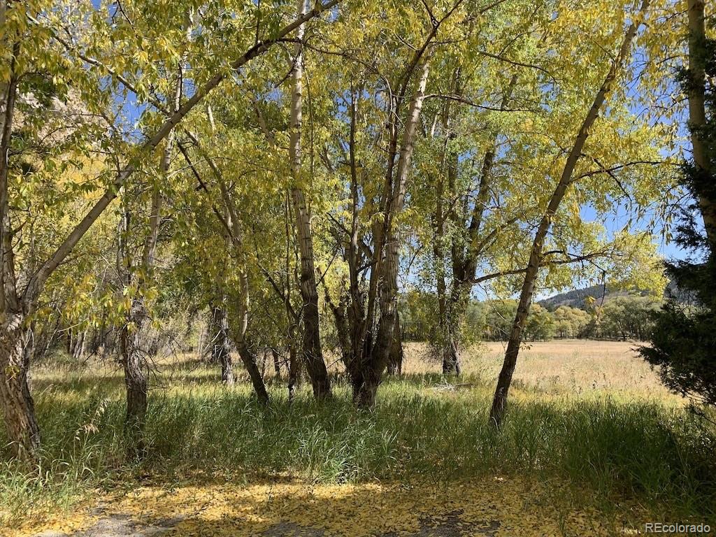 MLS Image #40 for 18957  county road 162 ,nathrop, Colorado