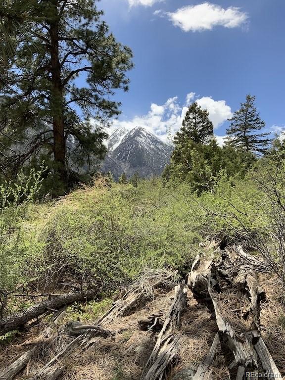 MLS Image #45 for 18957  county road 162 ,nathrop, Colorado