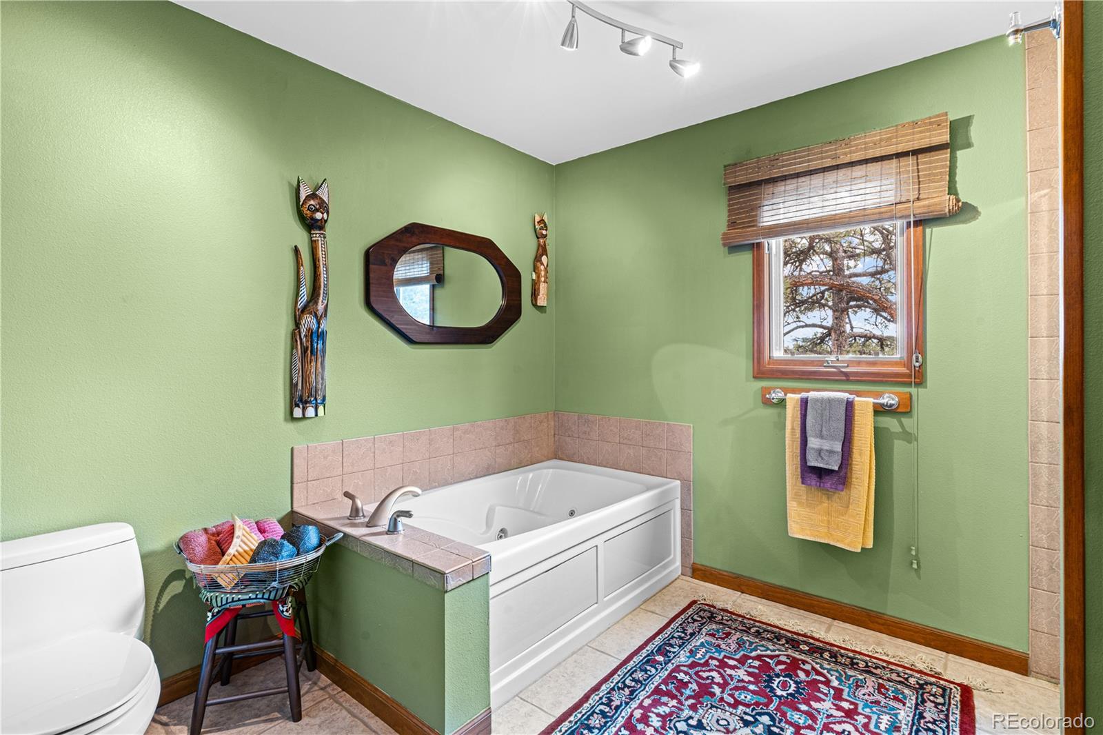MLS Image #12 for 1301  pheasant loop,westcliffe, Colorado