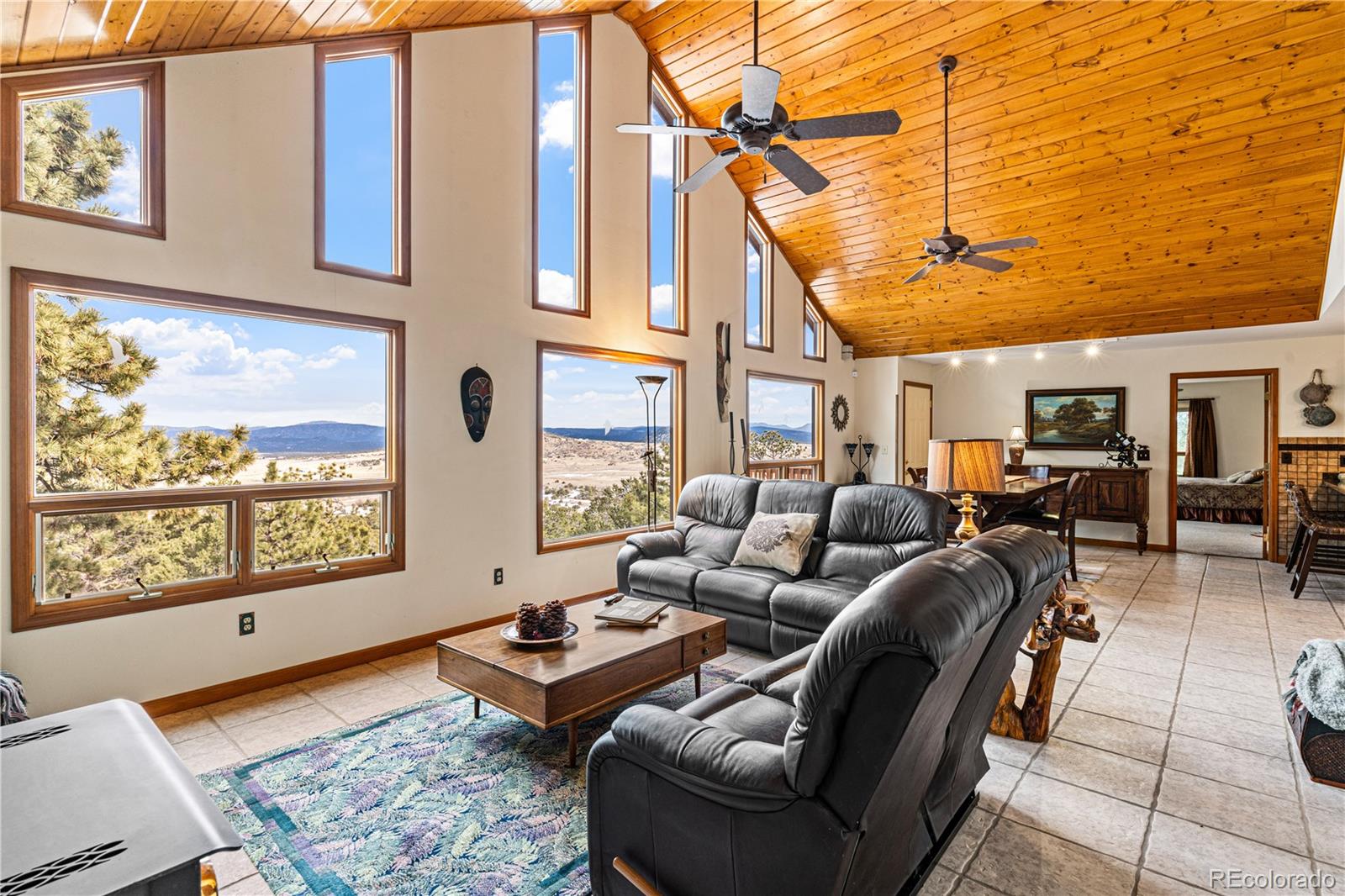 MLS Image #13 for 1301  pheasant loop,westcliffe, Colorado