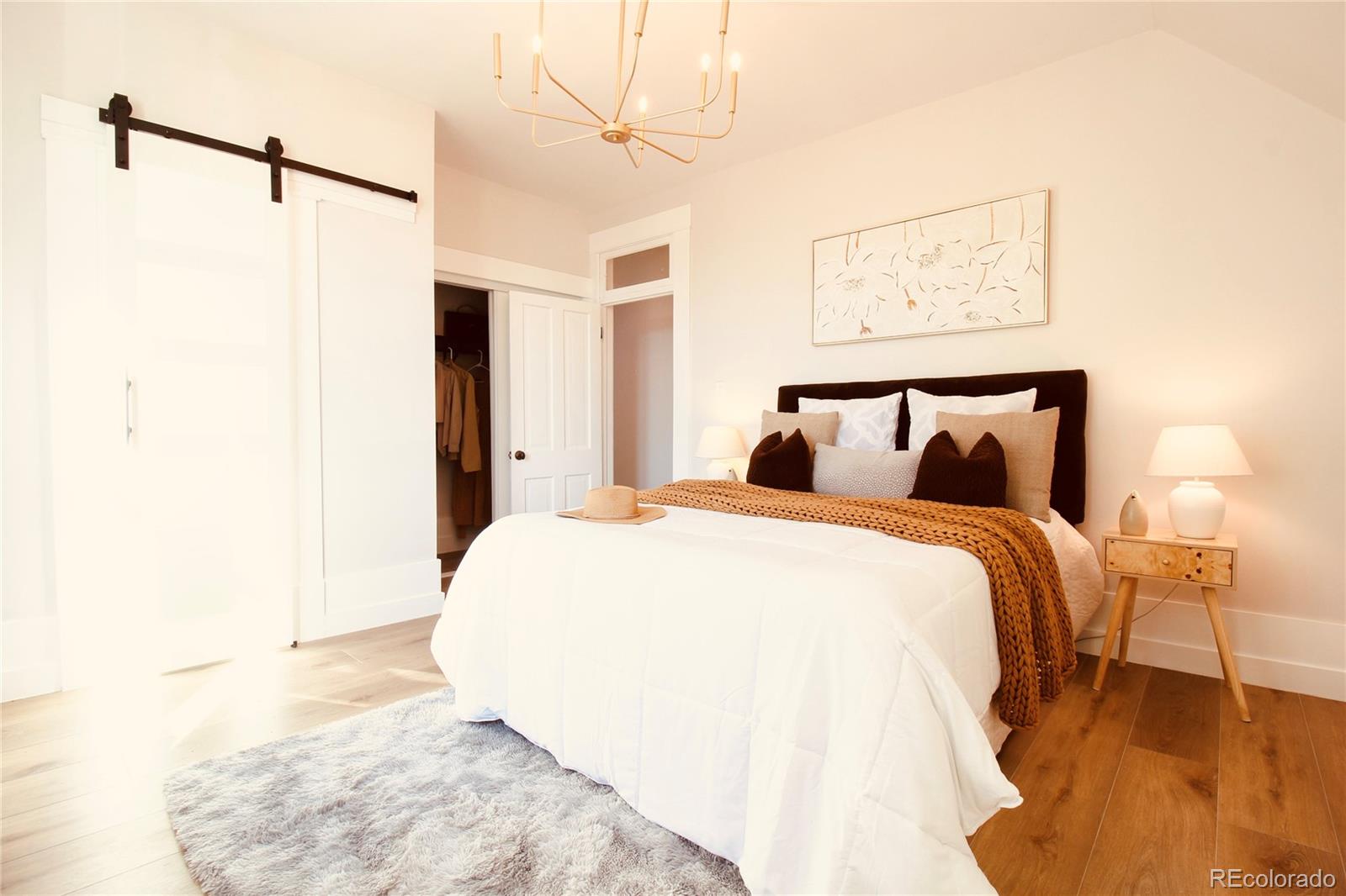 MLS Image #21 for 1544 n downing street,denver, Colorado