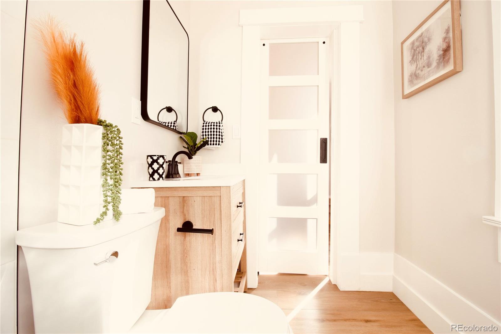 MLS Image #29 for 1544 n downing street,denver, Colorado
