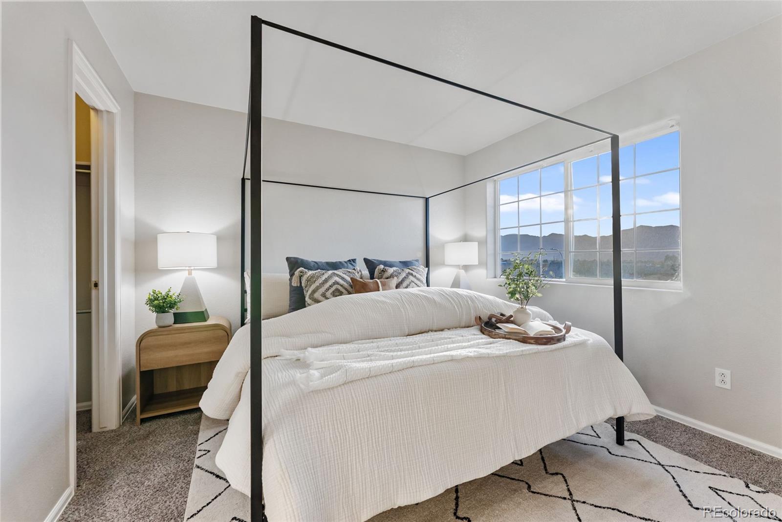 MLS Image #13 for 672  cima vista point,colorado springs, Colorado