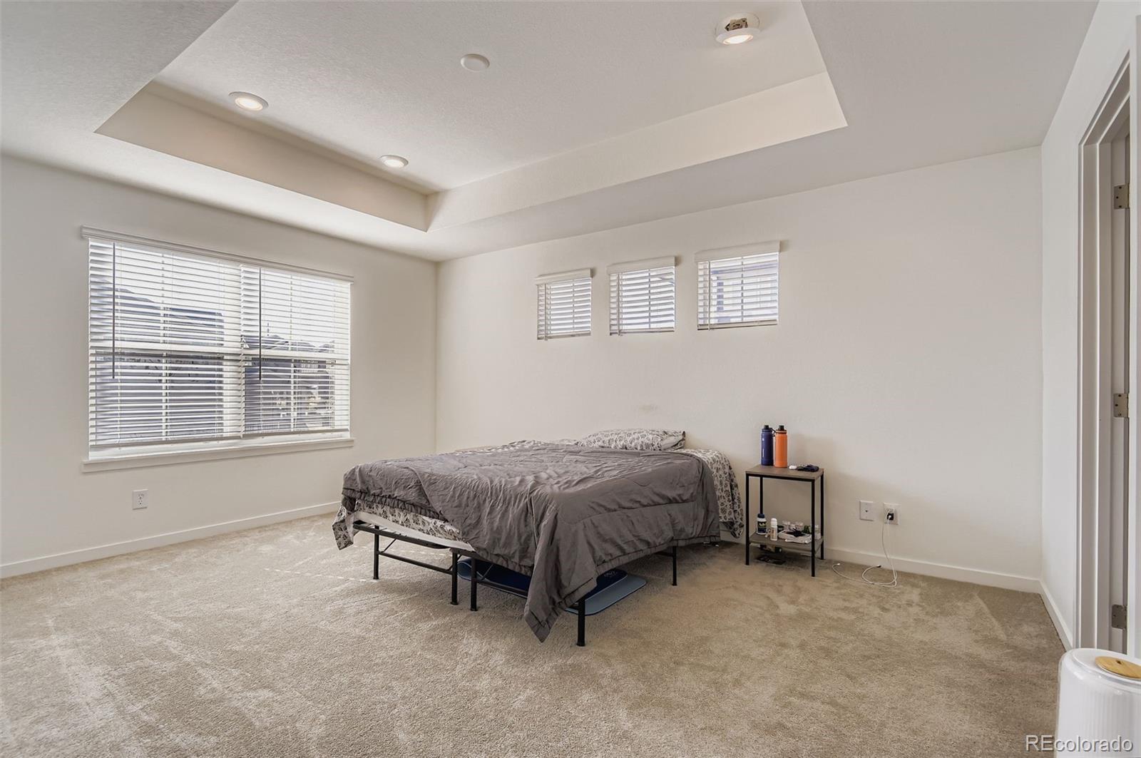 MLS Image #13 for 8983  larose court,parker, Colorado