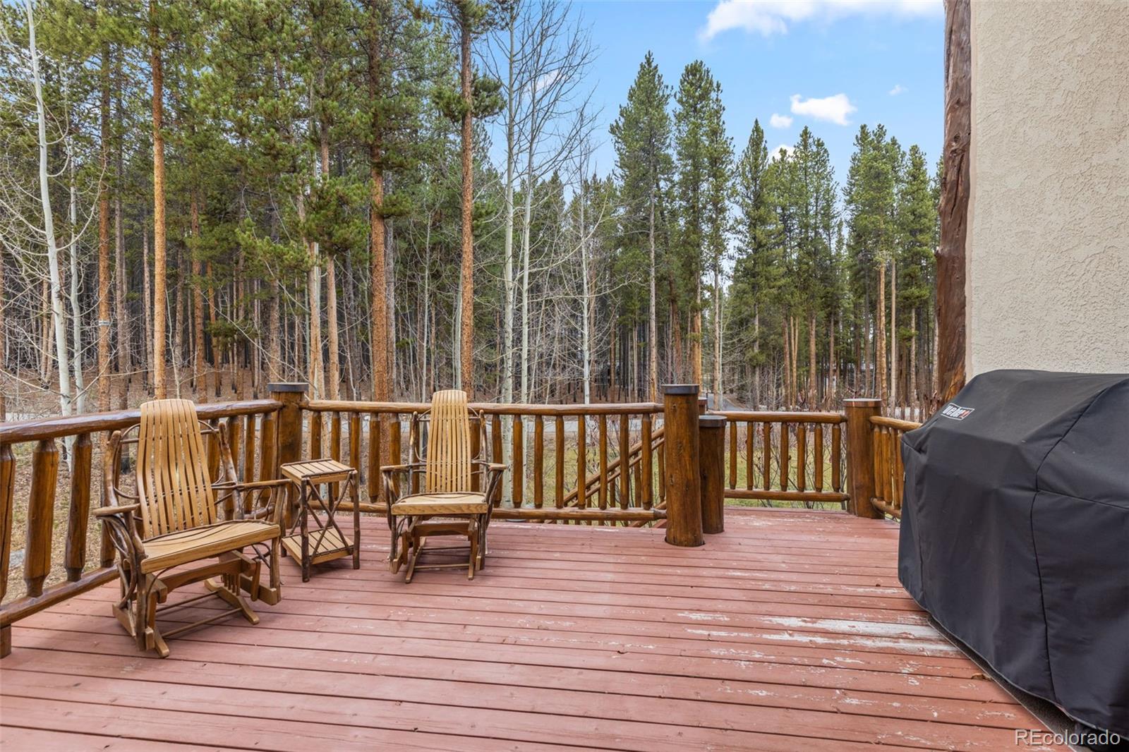 MLS Image #17 for 211  tarnwood drive,breckenridge, Colorado
