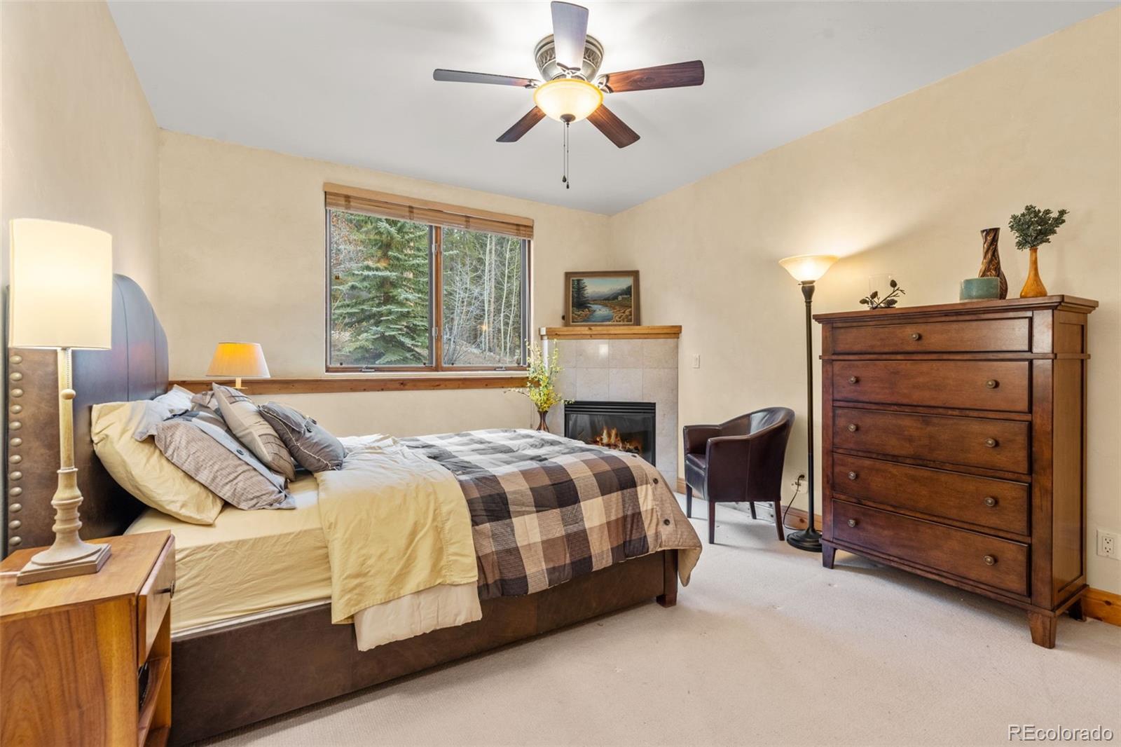 MLS Image #30 for 211  tarnwood drive,breckenridge, Colorado
