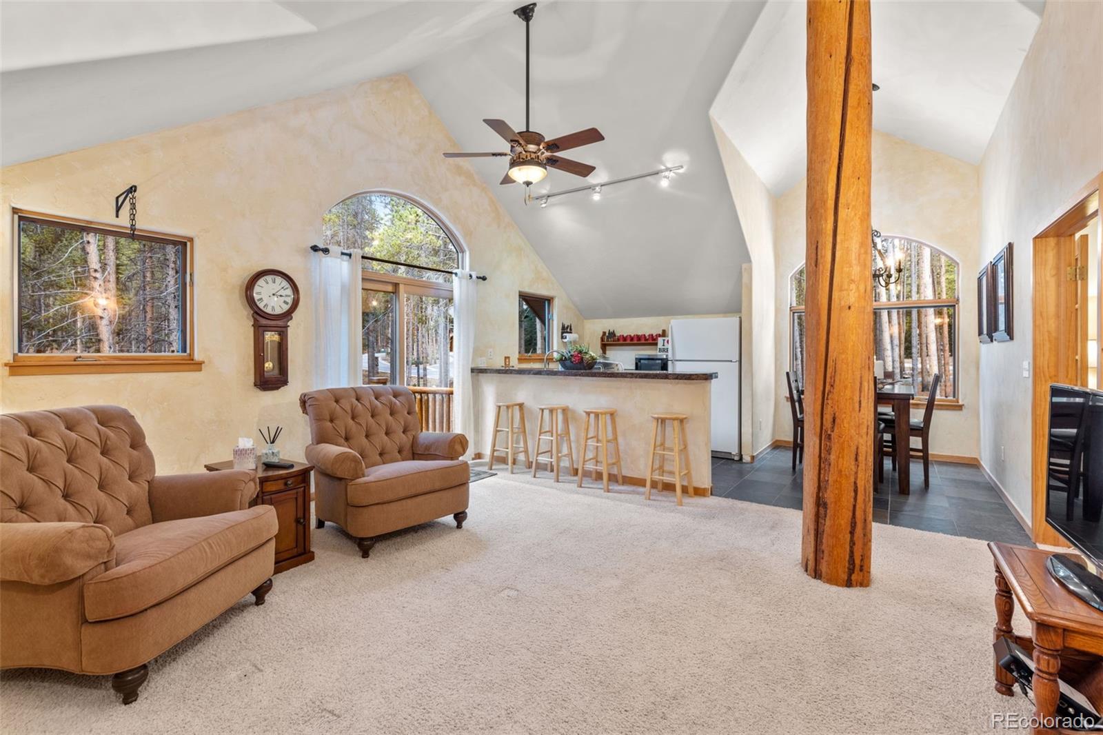 MLS Image #40 for 211  tarnwood drive,breckenridge, Colorado