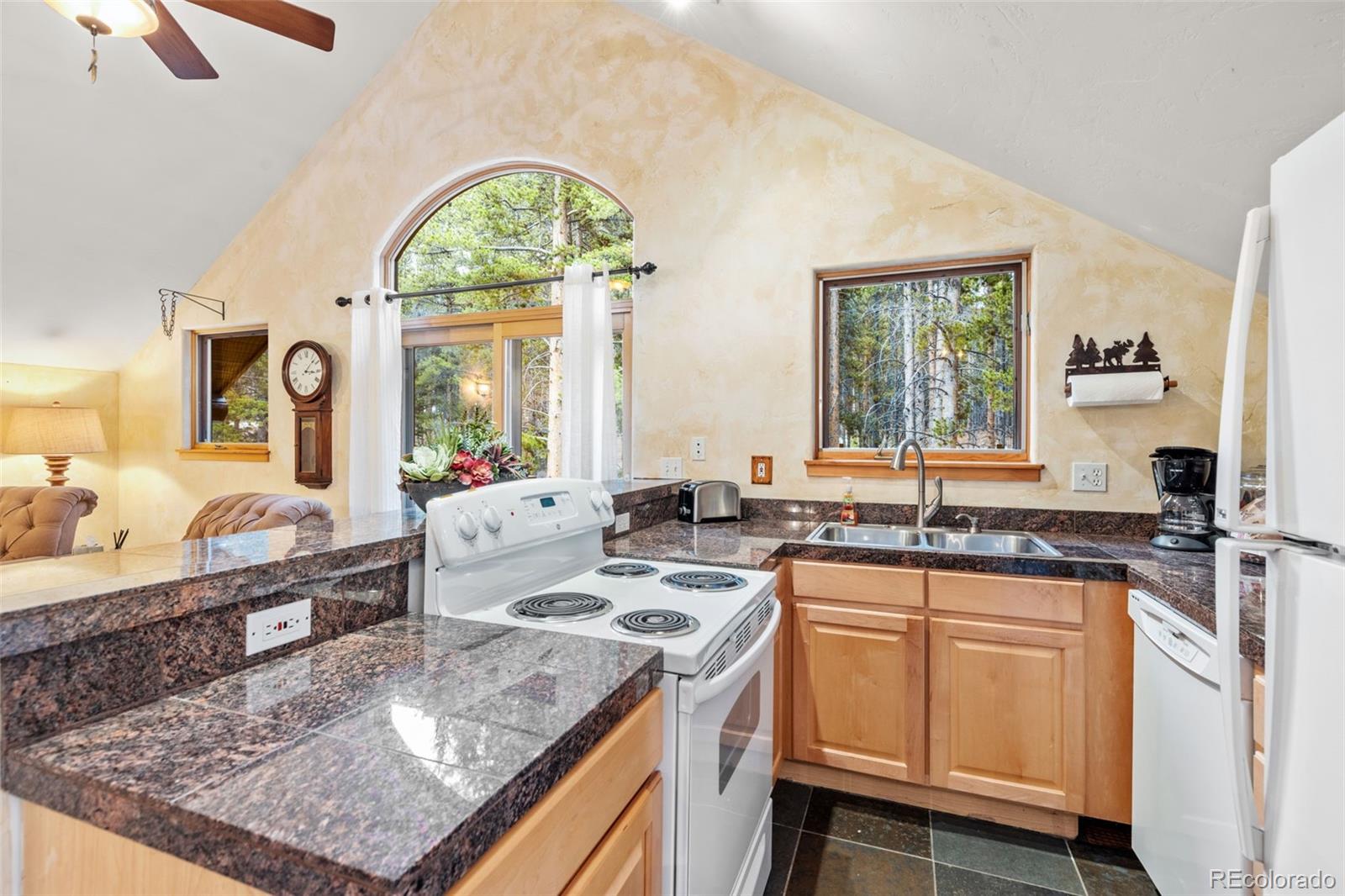 MLS Image #43 for 211  tarnwood drive,breckenridge, Colorado