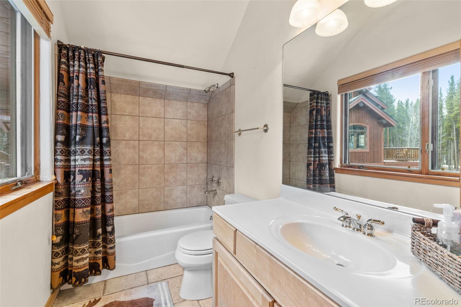 MLS Image #46 for 211  tarnwood drive,breckenridge, Colorado
