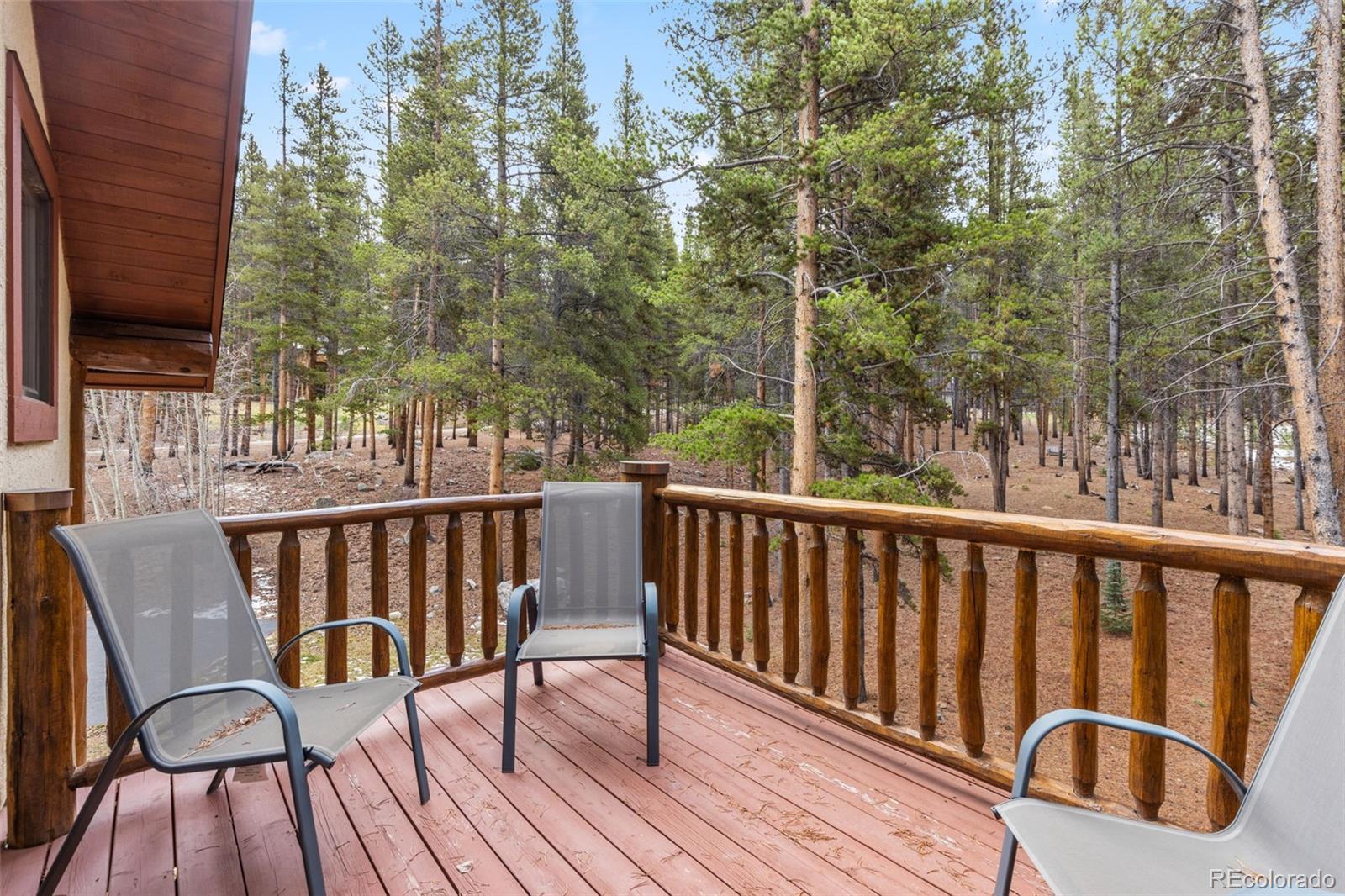 MLS Image #47 for 211  tarnwood drive,breckenridge, Colorado