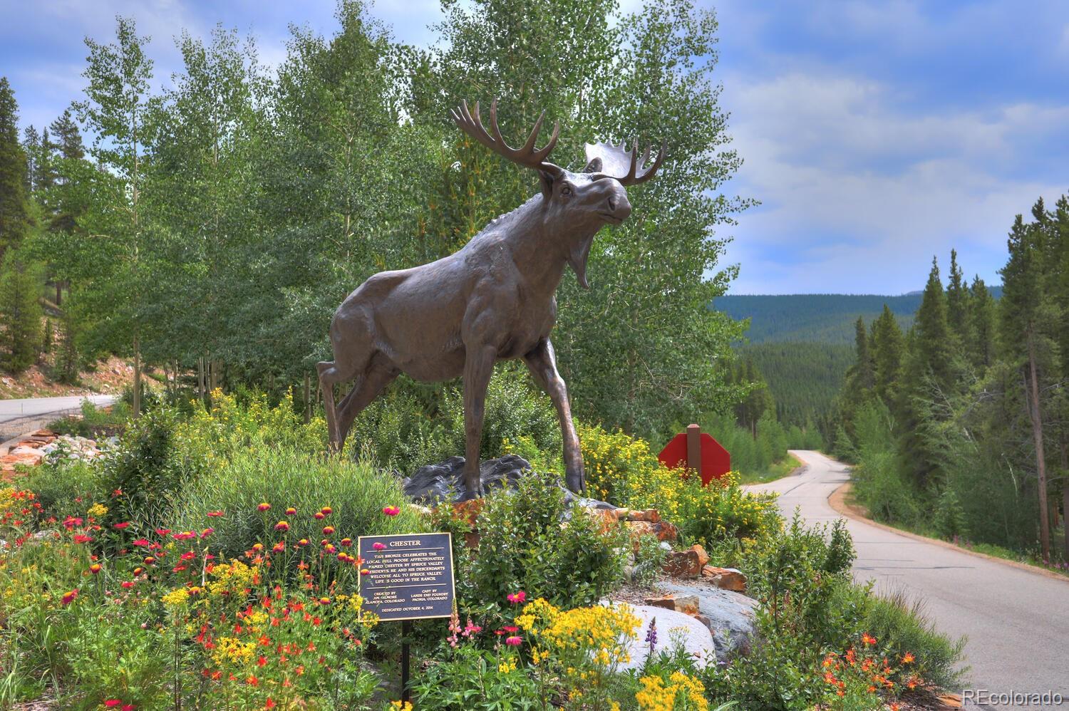 MLS Image #48 for 211  tarnwood drive,breckenridge, Colorado