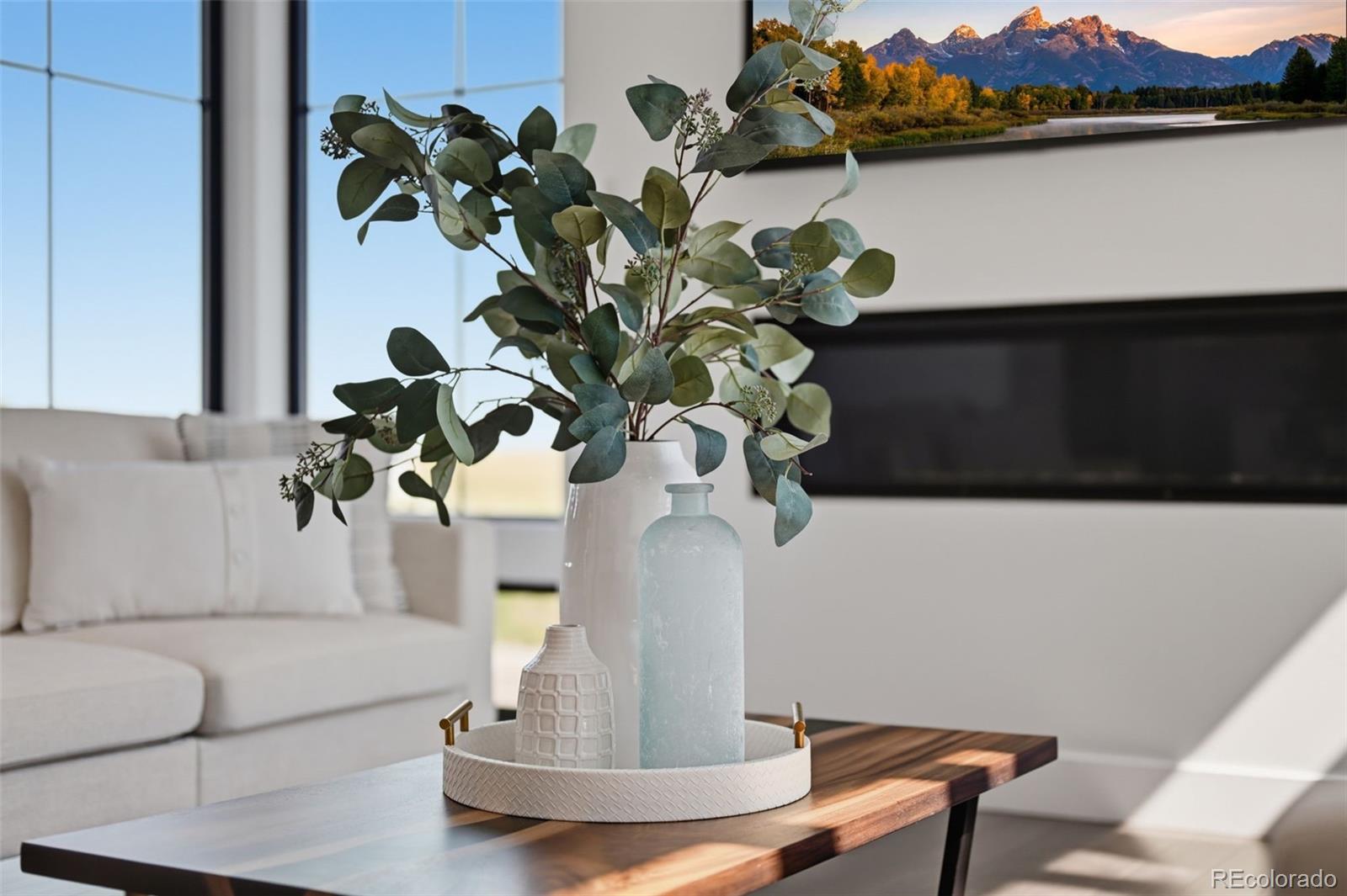 MLS Image #7 for 8468  merryvale trail,parker, Colorado