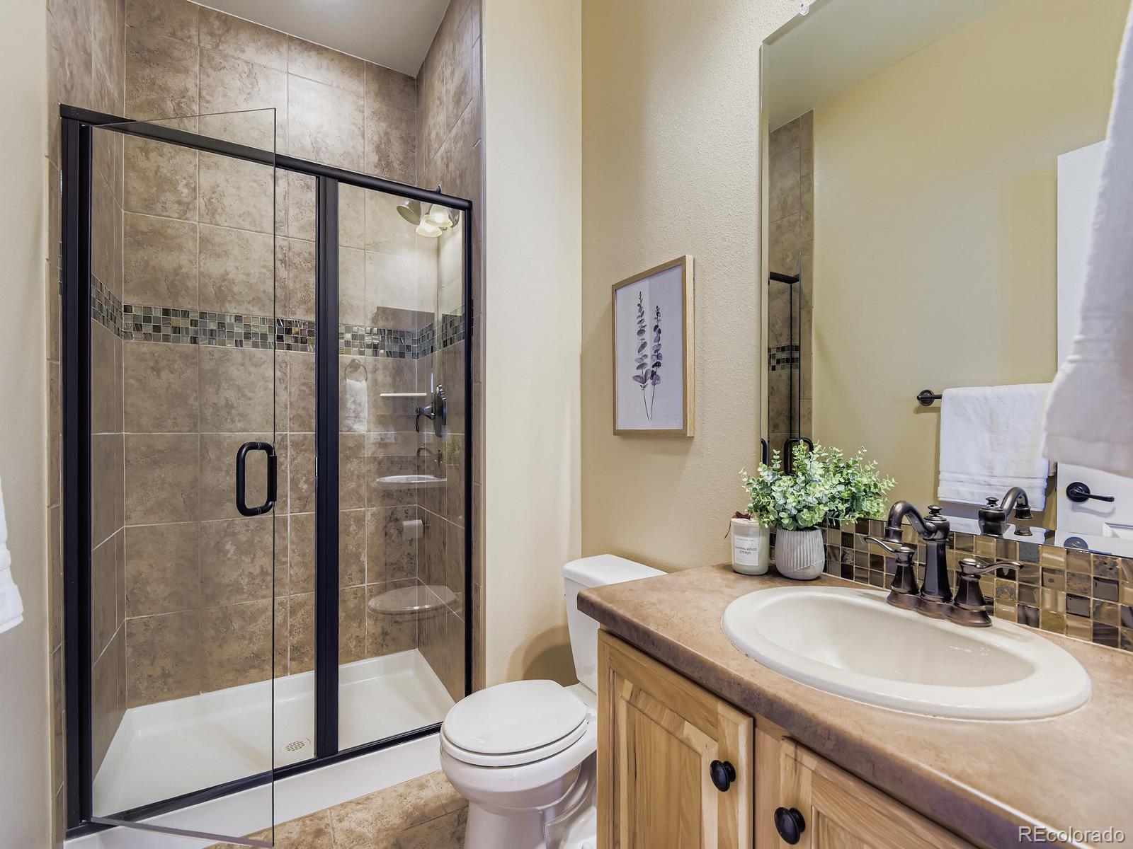 MLS Image #10 for 3839  donnington circle,castle rock, Colorado