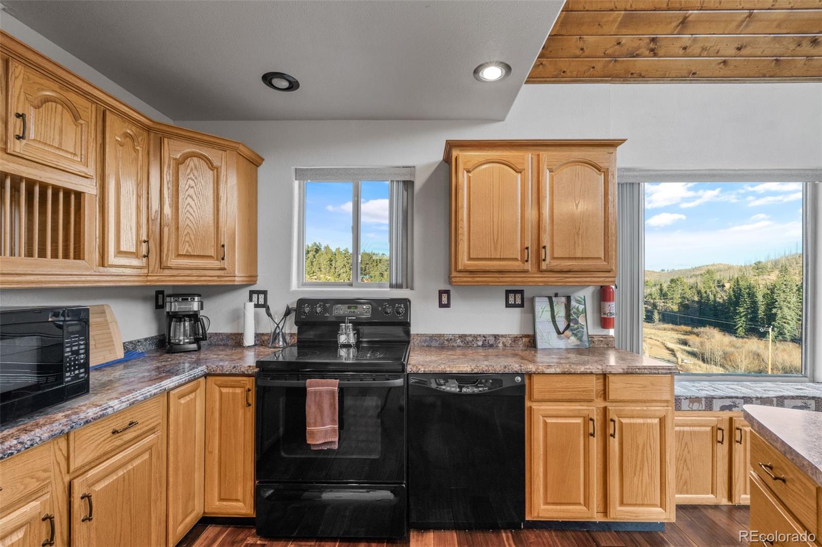 MLS Image #14 for 3631  cr 33 drive,florissant, Colorado