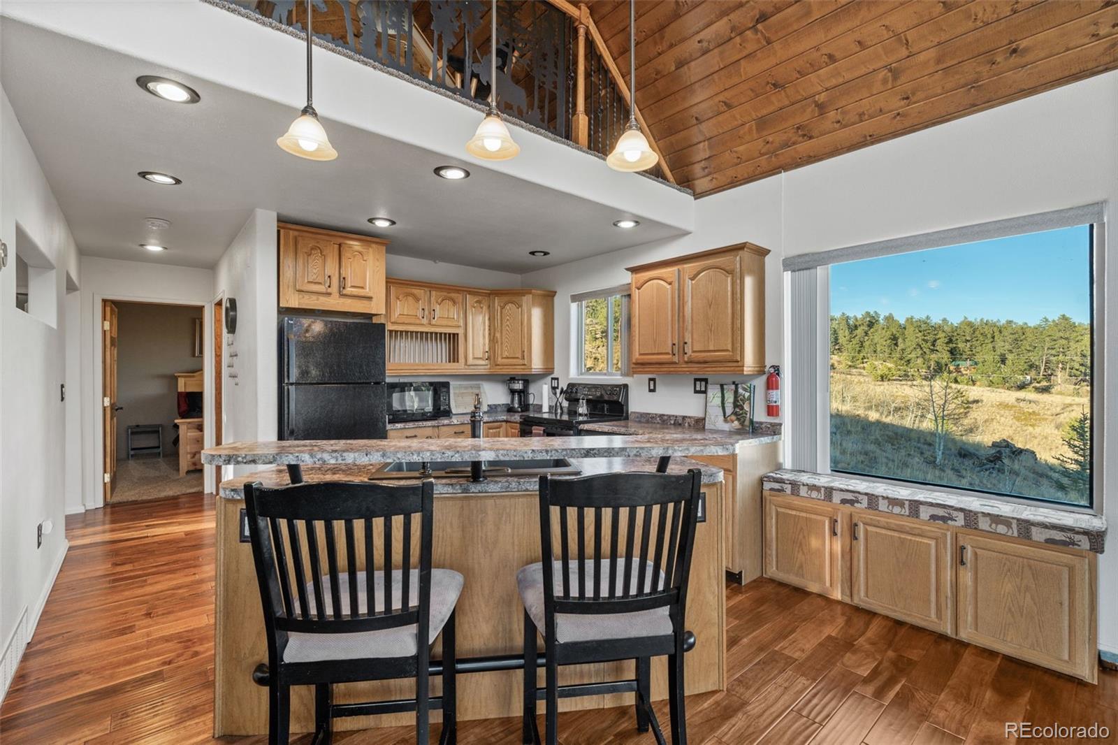 MLS Image #15 for 3631  cr 33 drive,florissant, Colorado