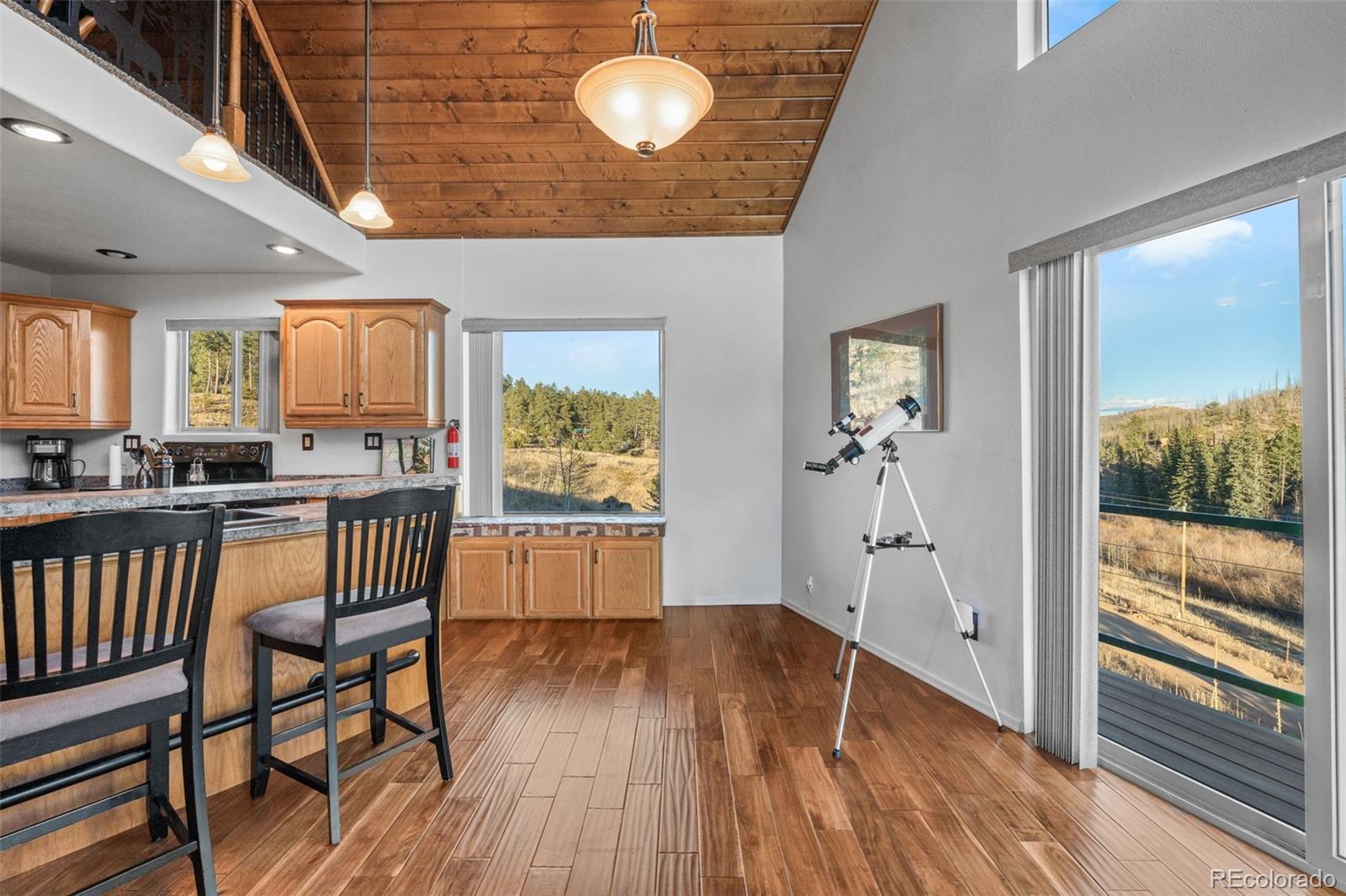 MLS Image #18 for 3631  cr 33 drive,florissant, Colorado
