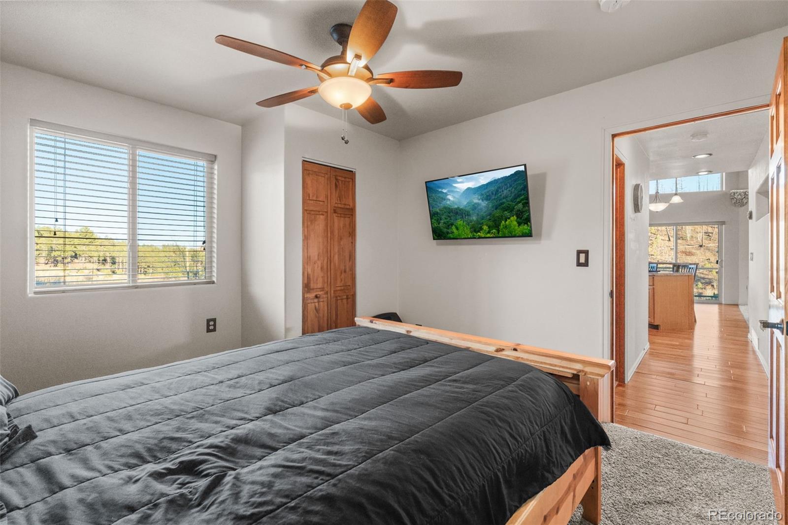 MLS Image #28 for 3631  cr 33 drive,florissant, Colorado