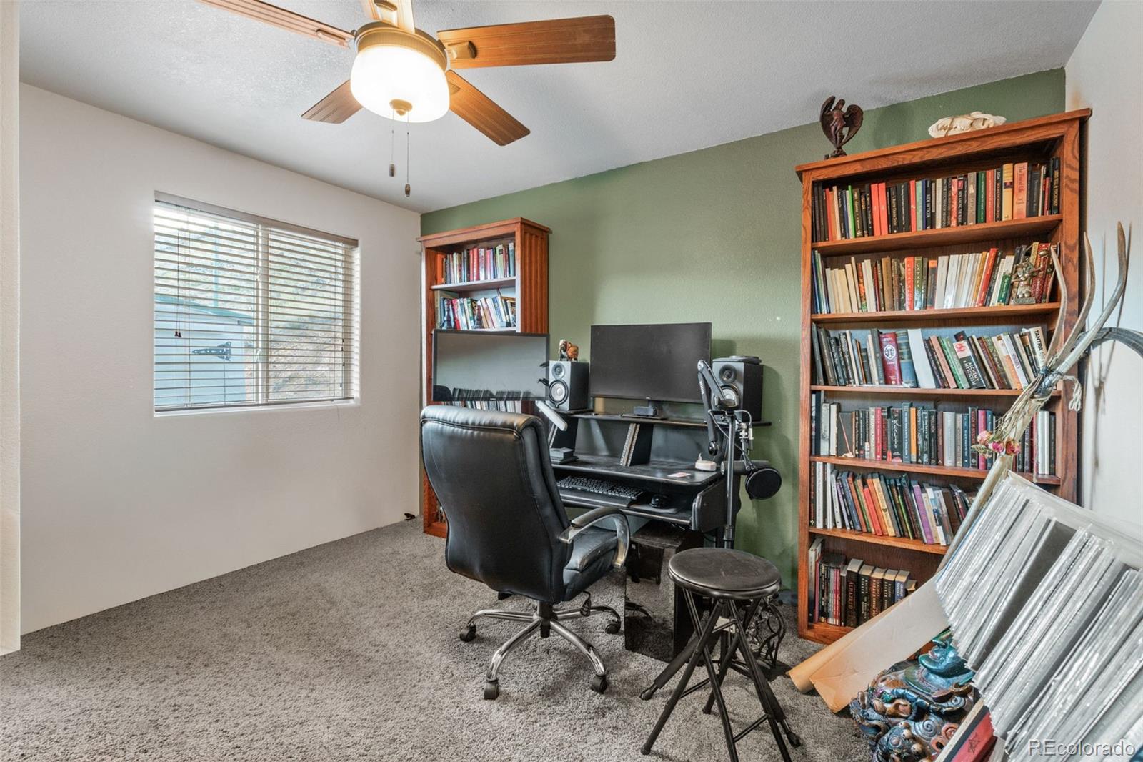MLS Image #31 for 3631  cr 33 drive,florissant, Colorado