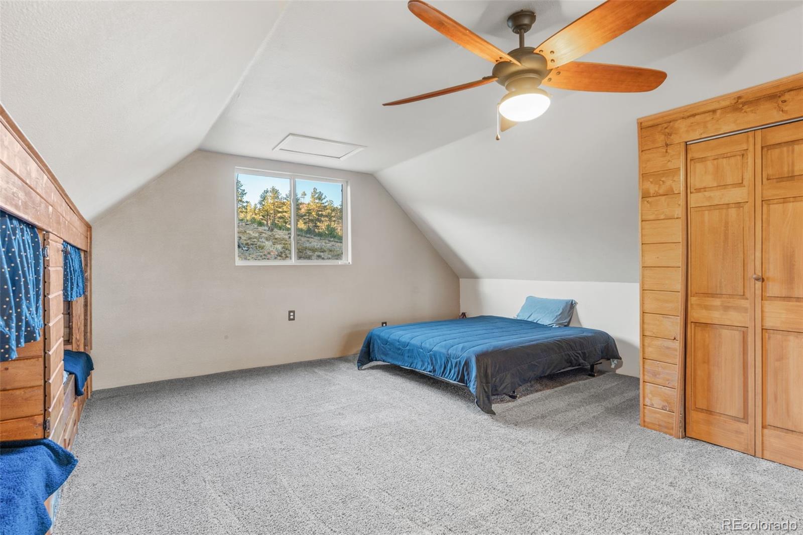 MLS Image #37 for 3631  cr 33 drive,florissant, Colorado