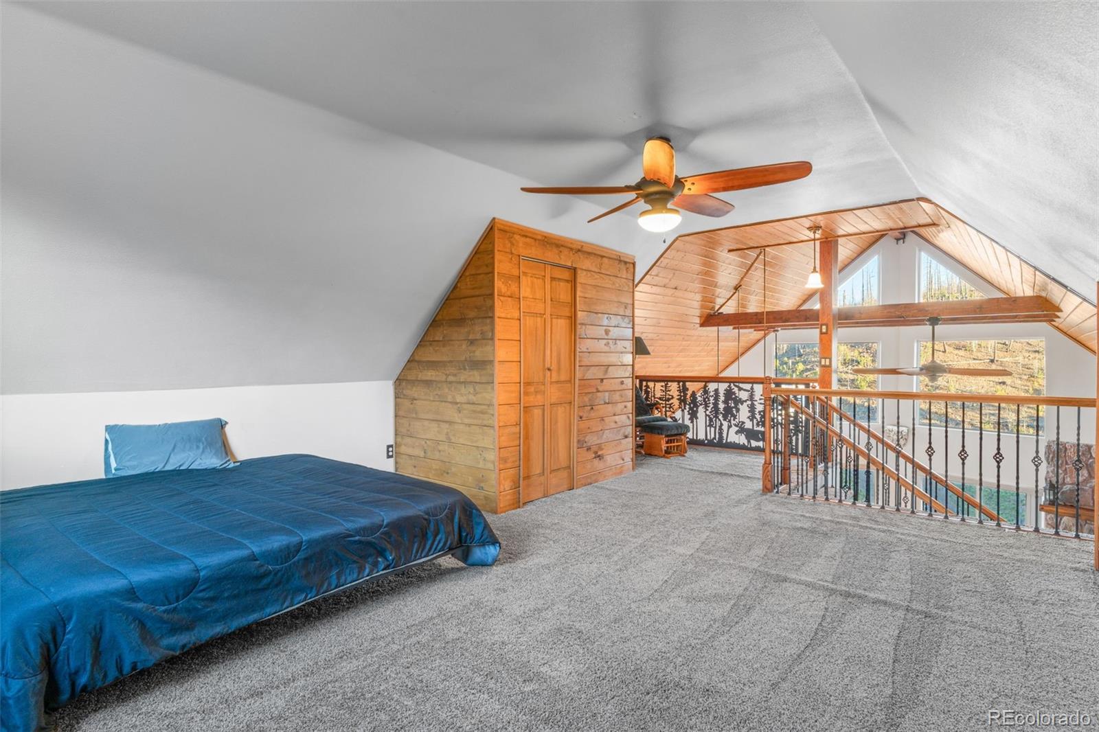MLS Image #39 for 3631  cr 33 drive,florissant, Colorado