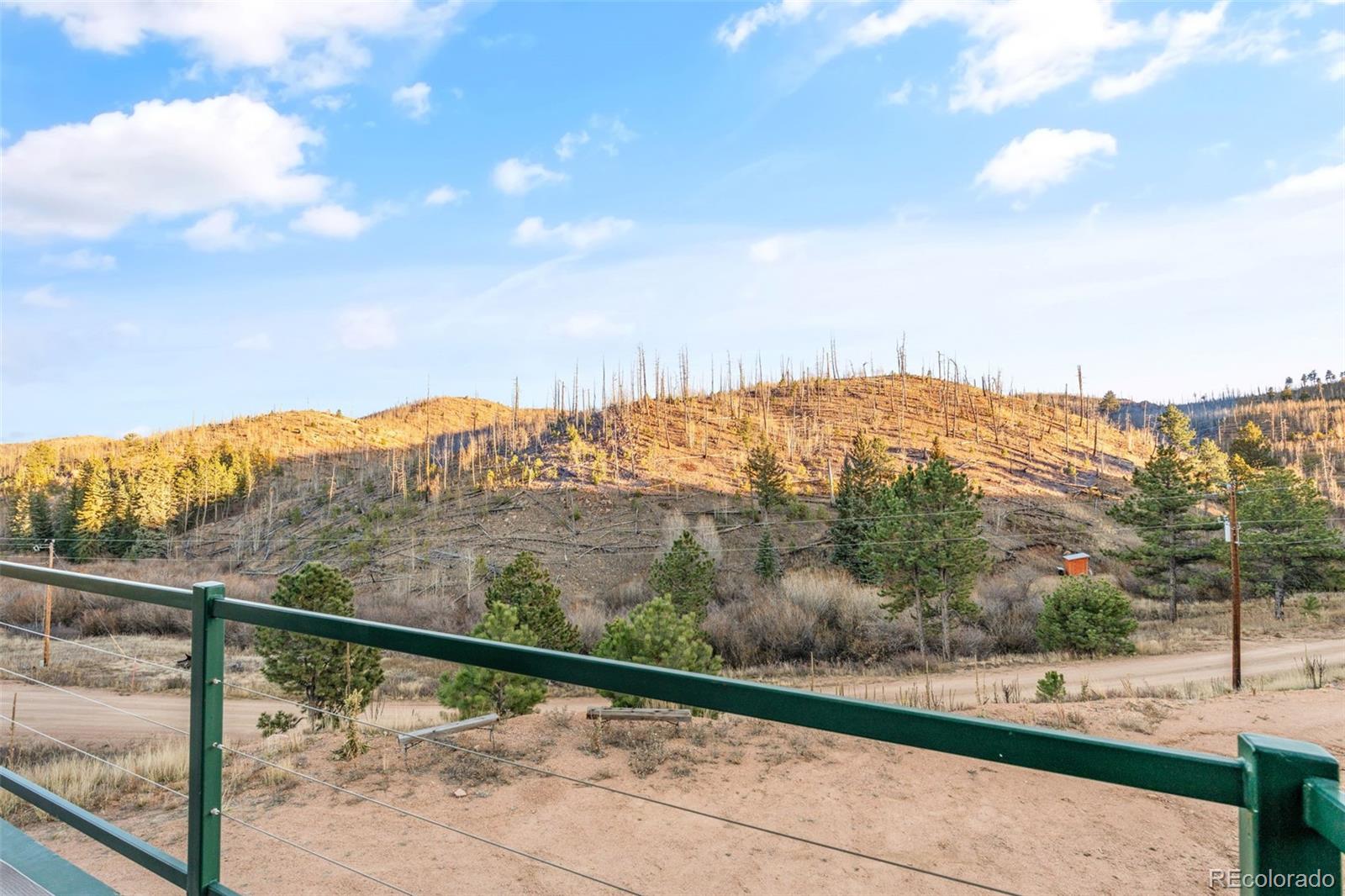 MLS Image #42 for 3631  cr 33 drive,florissant, Colorado