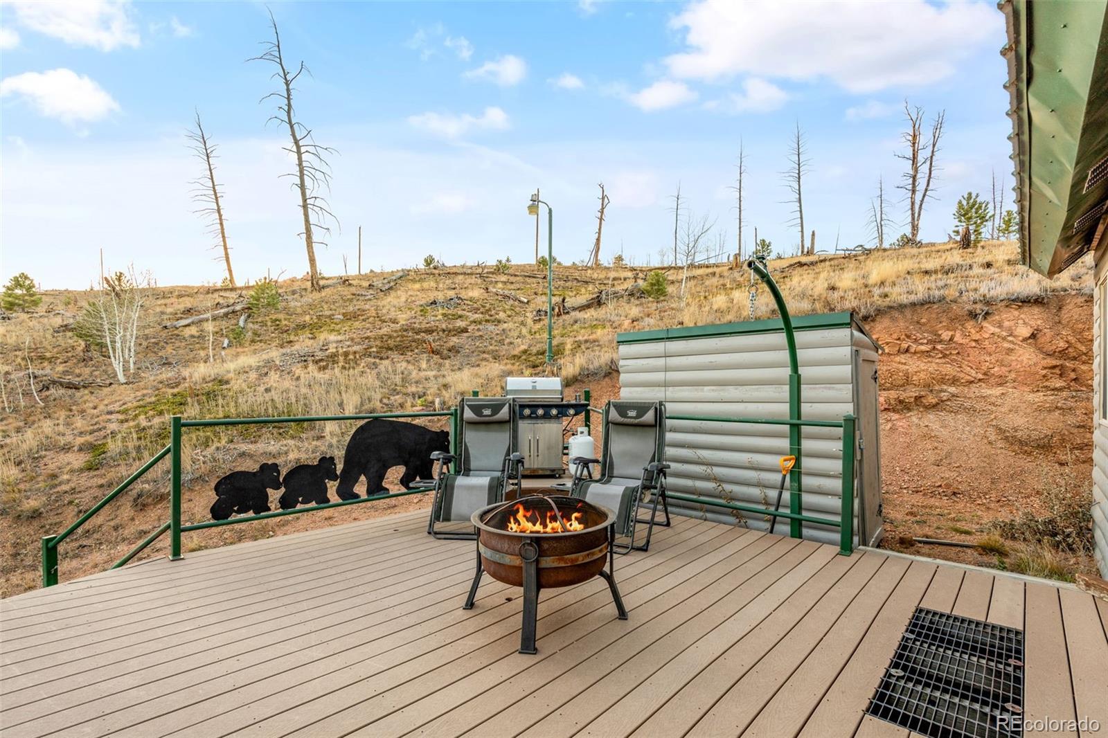 MLS Image #44 for 3631  cr 33 drive,florissant, Colorado