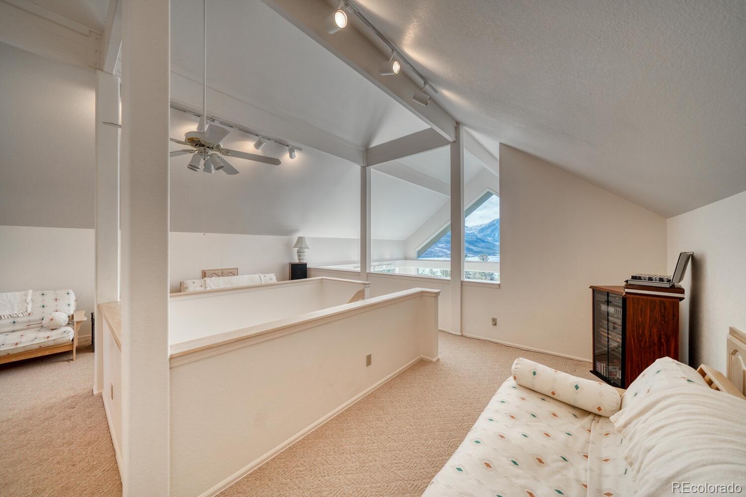 MLS Image #35 for 165  reva ridge road,twin lakes, Colorado