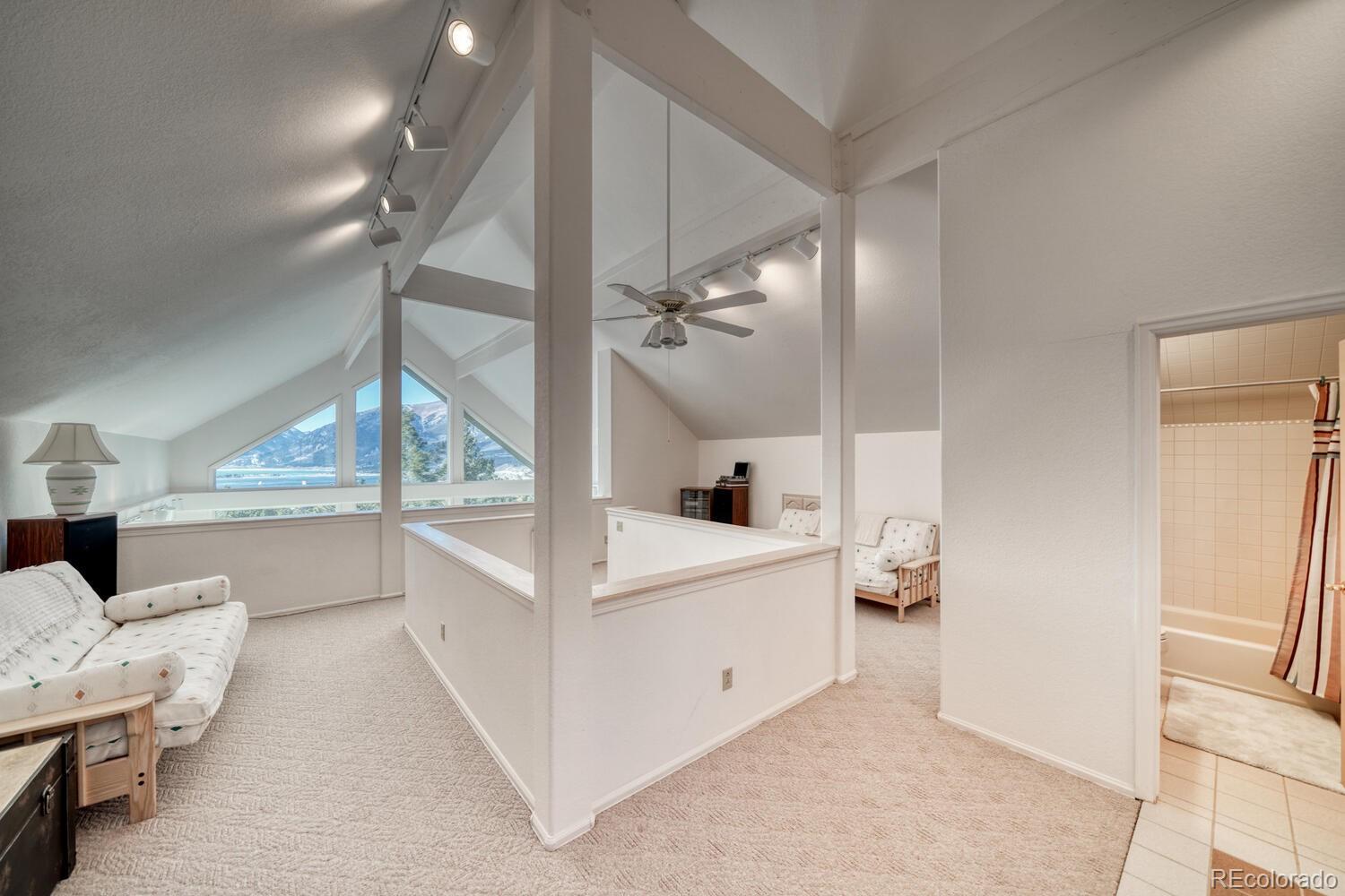 MLS Image #36 for 165  reva ridge road,twin lakes, Colorado
