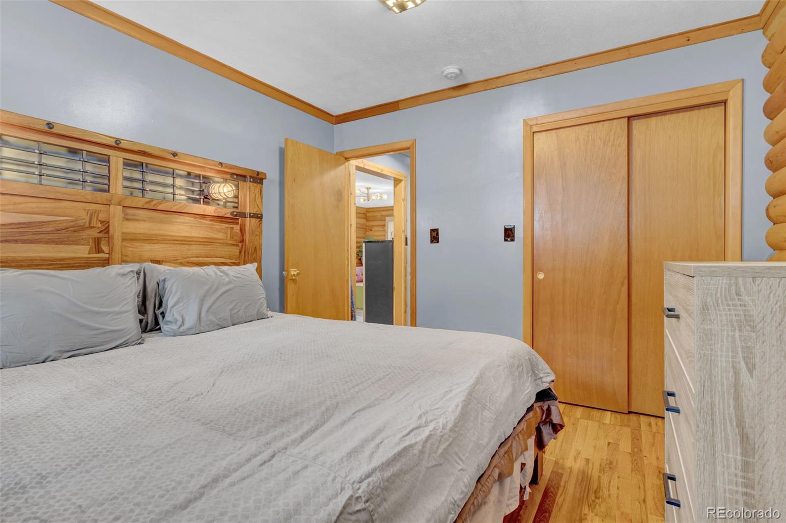 MLS Image #15 for 14601 s elk creek road,pine, Colorado