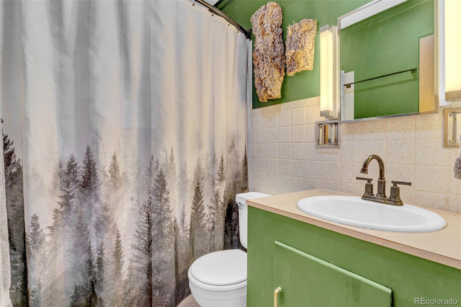 MLS Image #16 for 14601 s elk creek road,pine, Colorado