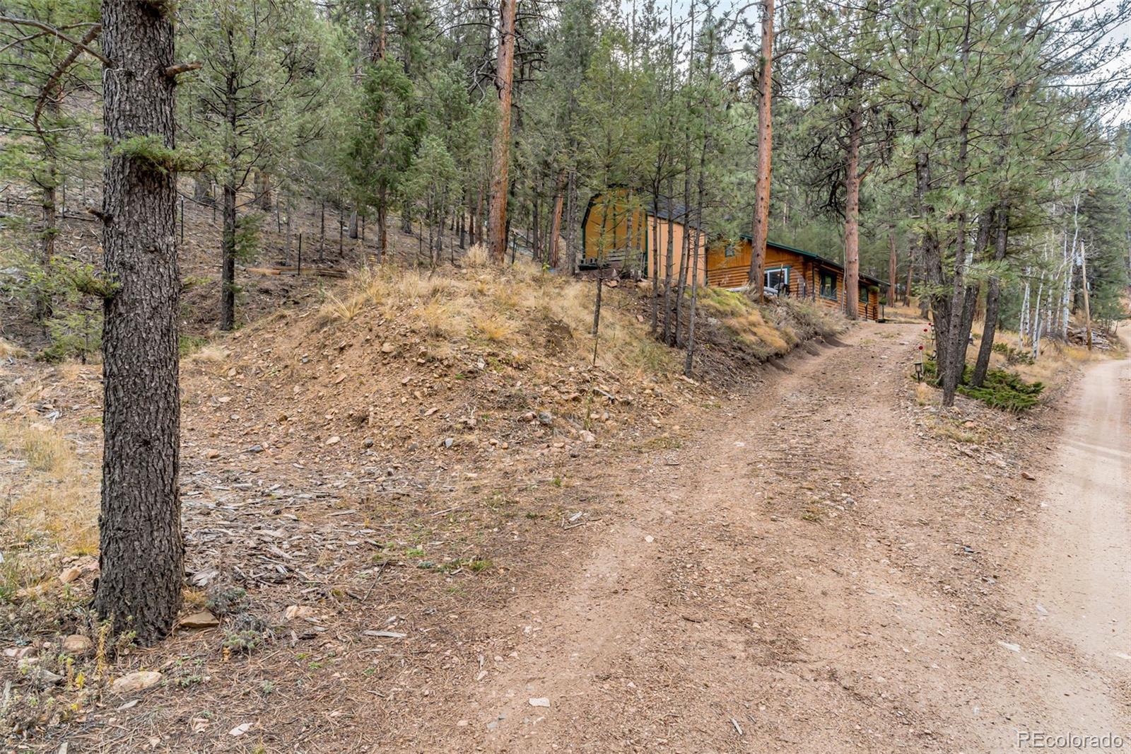MLS Image #22 for 14601 s elk creek road,pine, Colorado