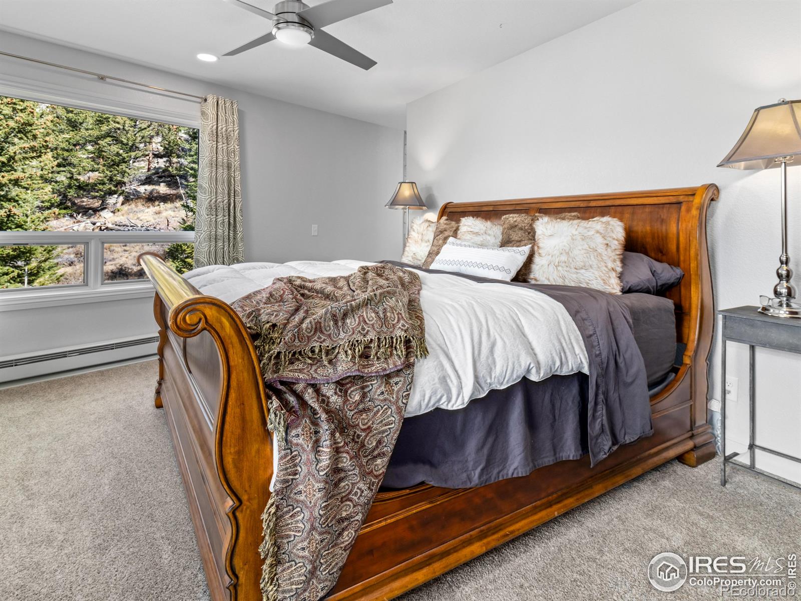 MLS Image #10 for 1267  upper venner road,estes park, Colorado