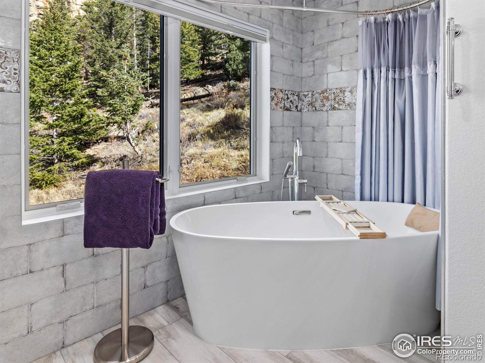 MLS Image #15 for 1267  upper venner road,estes park, Colorado