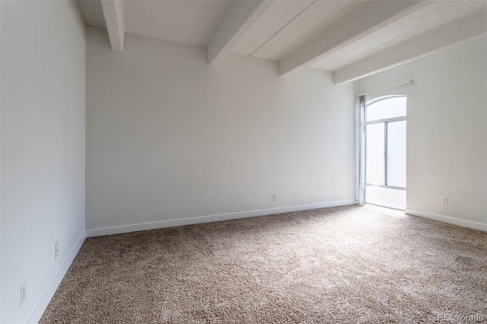 MLS Image #14 for 1365  columbine street,denver, Colorado