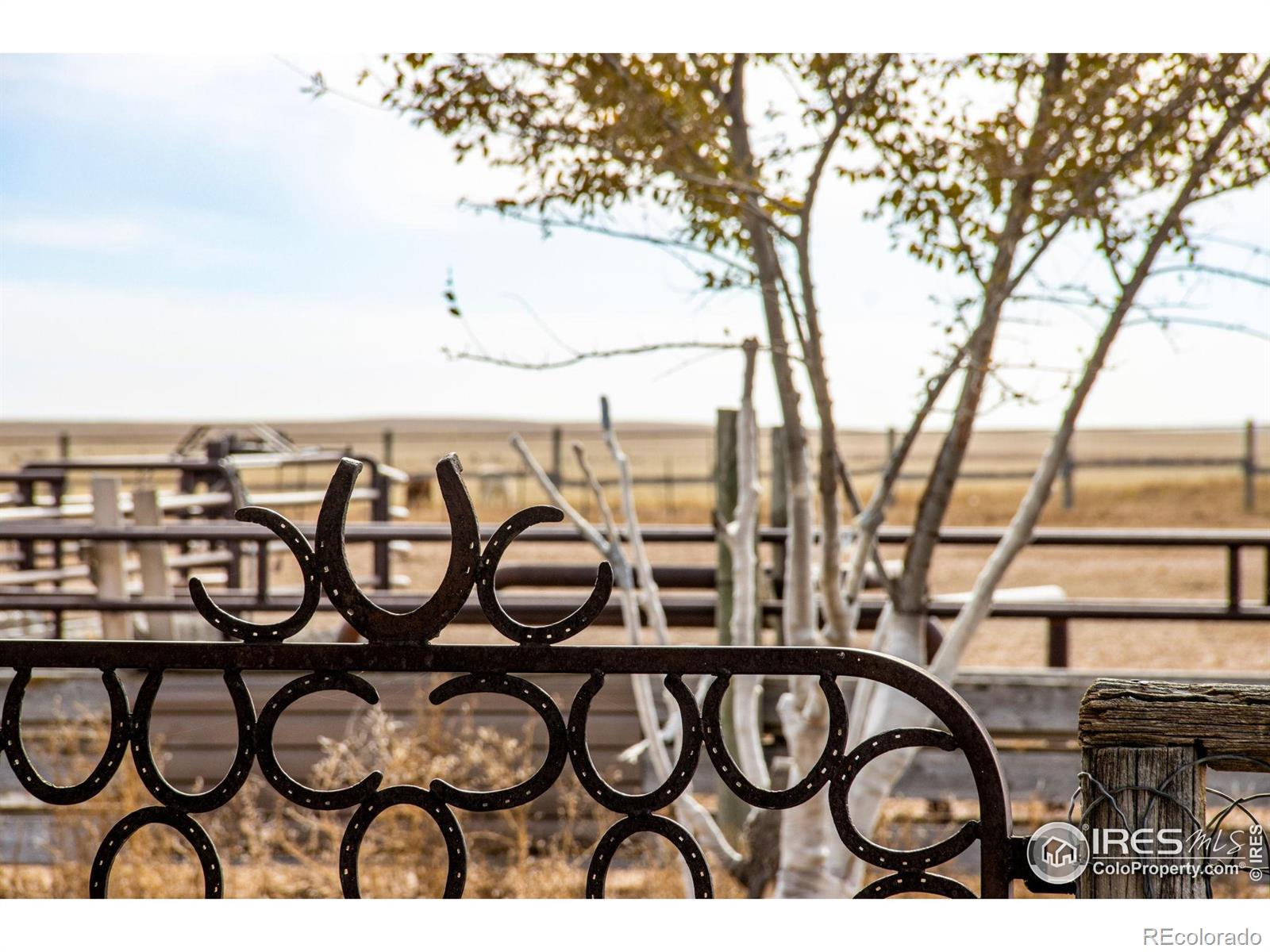 MLS Image #46 for 222 s kearney street,grover, Colorado