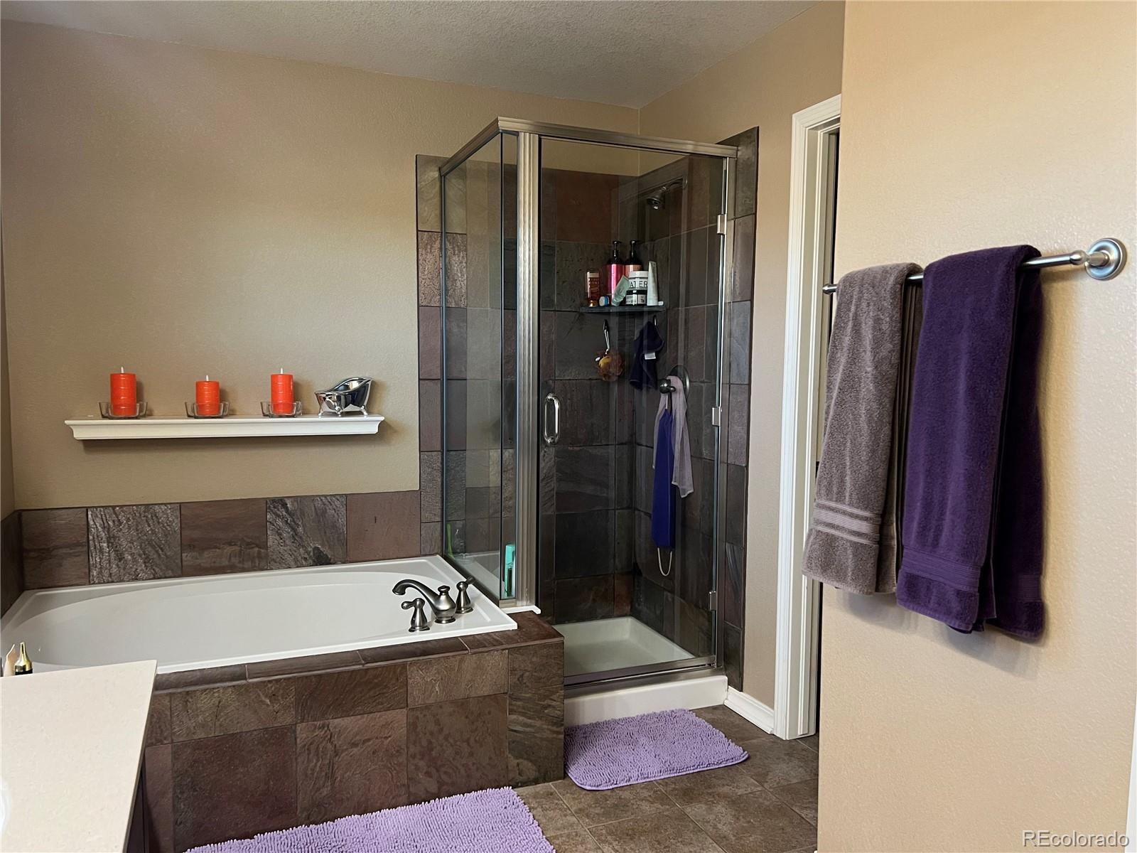 MLS Image #22 for 896  ironspur court,castle rock, Colorado